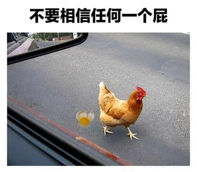 这张图片展示了一只鸡站在马路上，旁边有一个打碎的鸡蛋。图片上方配有文字'不要相信任何一个屁'，通过幽默的方式暗示放屁可能带来意外（比如像鸡下蛋时可能控制不住的情况），制造出滑稽的效果。