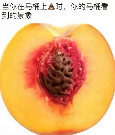图片上方配有文字'当你在马桶上💩时，你的马桶看到的景象'，下方是一张对半切开的桃子特写照片。桃子的黄色果肉和中间带孔洞的桃核部分，通过视觉联想幽默地模拟了马桶视角下的场景，用水果的形态制造出荒诞又搞笑的比喻效果。