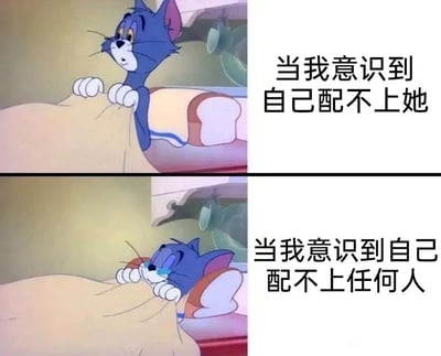 图片为《猫和老鼠》中的汤姆猫的两格对比图。上格中汤姆从床上探出头，表情担忧，旁边配文“当我意识到自己配不上她”；下格中汤姆用毯子捂住脸，表情悲伤，配文“当我意识到自己配不上任何人”。通过汤姆情绪的变化，幽默又心酸地表达了自我否定的递进过程。