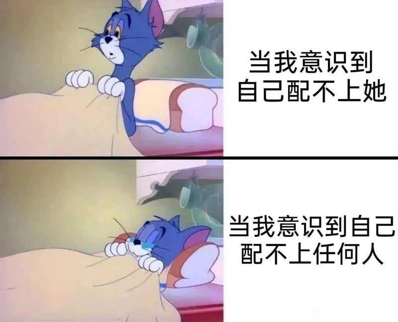 猫和老鼠
