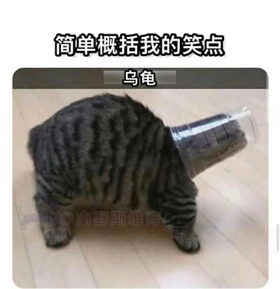 一张搞笑图片，展示了一只灰色条纹猫，它的头上被套了一个透明塑料杯，从特定角度看过去，猫的身体加上杯子形成了一个类似乌龟的造型。图片上方配有文字"简单概括我的笑点"，中间在猫身上配有文字"乌龟"，通过猫咪的滑稽造型和文字配合，形成了一个简单直接的笑点。