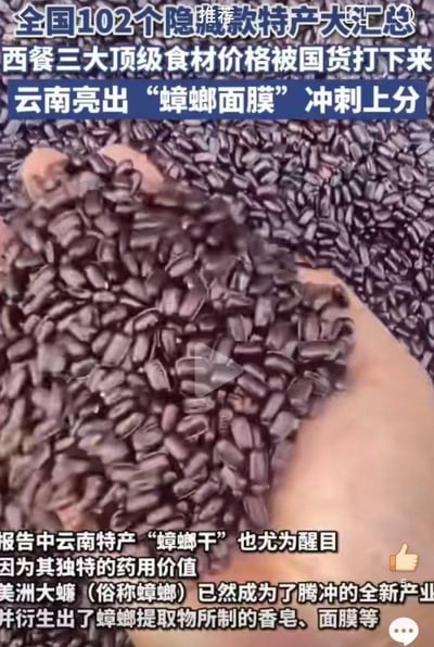 这是一张竖屏短视频截图，画面主体是被手捧起的黑色蟑螂干（美洲大蠊），搭配多段文字介绍：这是全国102个隐藏款特产汇总内容，提到云南亮出“蟑螂面膜”这类猎奇产品，报告里云南特产“蟑螂干”尤为醒目，因其独特药用价值，美洲大蠊已经成为云南腾冲的全新产业，还衍生出用蟑螂提取物制作的香皂、面膜等产品，整体内容属于猎奇类地方特产科普。