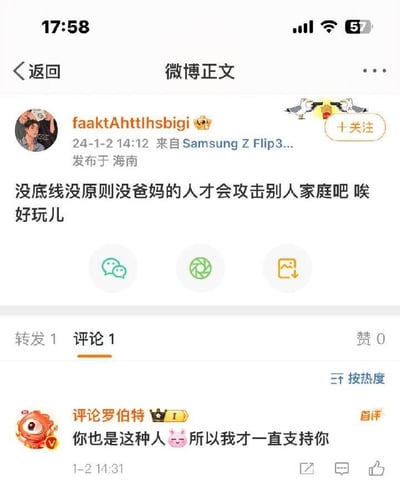该图片为微博平台的帖子截图，显示用户“faaktAhttlhsbigi”于2024年1月2日14:12在海南使用Samsung Z Flip3发布的内容。帖子正文为“没底线没原则没爸妈的人才会攻击别人家庭吧 唉 好玩儿”，下方有1条评论，由用户“评论罗伯特”发布，内容为“你也是这种人🐷所以我才一直支持你”。界面包含返回按钮、用户头像及名称、发布时间、设备信息、地理位置，以及转发（1次）、评论（1条）、点赞（0个）等互动数据。