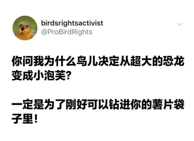 这是一张Twitter（现X平台）截图，账号@ProBirdRights（用户名birdsrightsactivist）发布的幽默内容。头像为一只张嘴的小鸟，配文以俏皮口吻虚构了鸟类进化的原因：从“超大恐龙”变成“小泡芙”体型，是为了“刚好钻进你的薯片袋子里”。内容结合进化梗与生活化场景，充满轻松搞笑的氛围。