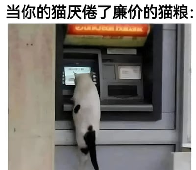 图片上方有文字“当你的猫厌倦了廉价的猫粮：”，下方是一只白底黑斑的猫正站立在用前爪操作ATM机的场景。猫咪后腿站立，前爪搭在ATM的操作面板上，仿佛在自主取钱购买更好的猫粮，通过拟人化的方式制造幽默效果，展现了宠物在主人眼中“有想法”的可爱形象。
