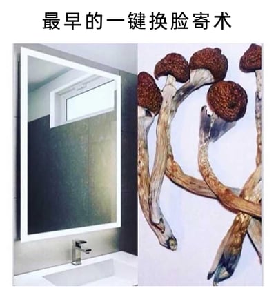 这是一张左右拼接的趣味梗图，左侧呈现的是浴室场景中的带白色灯框的镜子和金属水龙头，镜子的反射区域没有映照出人物，而是和右侧的多株菌类植物形成巧妙的视觉错位——镜子的轮廓、水龙头的位置与菌类的形态结合，仿佛镜子中“反射”出了菌类的形象，如同完成了“换脸”效果。图顶部配有文字“最早的一键换脸寄术”，其中“寄术”是“技术”的谐音，将这种视觉巧合调侃为最早的“一键换脸技术”，结合当下流行的AI换脸概念，制造出荒诞又幽默的趣味感。
