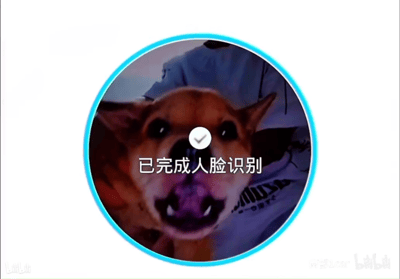 这是一张网友制作的搞笑P图，模拟人脸识别的验证界面，蓝色圆形识别框内是一只被人抱着的狗狗，狗狗张嘴露齿、直视镜头，识别框中间有代表验证通过的白色对勾，下方配有“已完成人脸识别”的文字，通过将狗狗识别为“人脸”的反差效果，制造出荒诞搞笑的氛围，调侃人脸识别技术可能存在的识别误差，图中带有哔哩哔哩平台的水印，表明其来源。