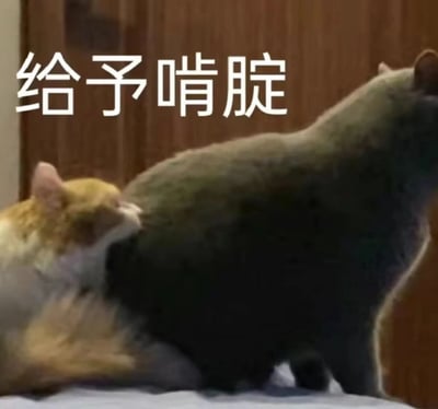 画面中一只橘白相间的小猫咪正趴在一只深色大猫咪的背上，低头啃咬对方的臀部。图片上方配有白色文字“给予啃腚”，利用谐音“啃腚”与“肯定”制造趣味效果，展现猫咪之间亲昵又调皮的互动场景。