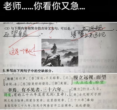 整张图属于拼接创作的搞笑梗图，顶部是发布者添加的调侃文字“老师......你看你又急...”；中间部分是语文试卷答题页，题目要求填写和配图（一名古装男子立于雪山山顶远眺群山云海的古风插画）内容契合的古诗文名句，学生填写了《阿房宫赋》里描写宫妃盼望帝王宠幸的“缦立远视，而望幸焉”，老师用红笔将答案打叉，还批注了“这是一个男人！”调侃答案不符合配图的男性人物身份；底部是该句古诗文的课本注释，明确标注“幸”在此处指代得到帝王的宠幸，进一步放大了答案错位的笑点，和配文的吐槽内容形成呼应。