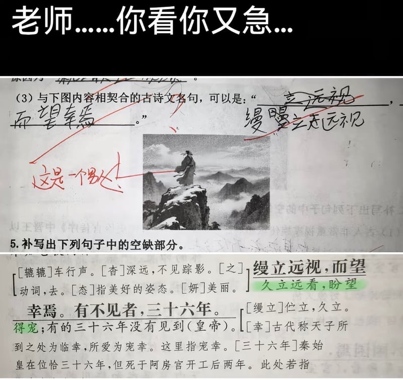 语文试卷题目配图
