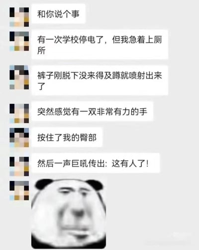 这是一张搞笑聊天记录梗图，讲述了一个发生在学校停电时的尴尬厕所经历。图中展示了一段对话，描述了主人公急着上厕所时遇到的意外状况，最后以一个经典的熊猫头表情包作为结尾，表情尴尬又无奈，增强了喜剧效果。