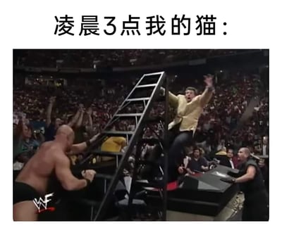 这是一张精准贴合养猫人日常的搞笑梗图，顶部配文“凌晨3点我的猫：”，下方截取了WWE摔角赛事的经典片段：画面中黄衣男子站在梯子顶端的解说台上，高举双手，情绪极度亢奋，一旁的摔角选手在推动梯子，周围是欢呼沸腾的观众，整个场景喧闹且充满活力。这张图用摔角赛场的热烈喧闹状态，生动调侃了凌晨时分精力异常旺盛、在家中上蹿下跳、吵闹不休的猫咪，精准戳中养猫人被凌晨活跃的猫咪打扰的共鸣点，内容诙谐有趣，极易引发养猫群体的共情。