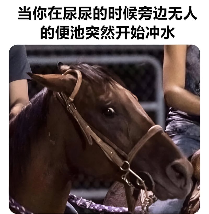 棕色马