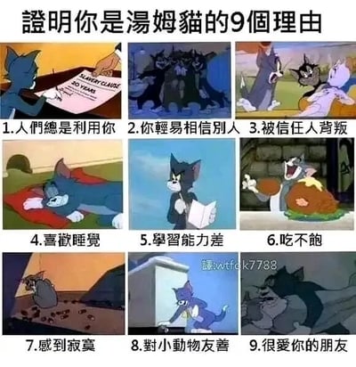 这是一张九宫格形式的图文混排梗图，以经典动画《猫和老鼠》中的汤姆猫为核心素材，选取了汤姆猫在动画里的九个不同场景截图，分别配上对应的文字，总结出9个能让当代人产生强烈共鸣的“像汤姆猫一样”的生活状态特质：1.人们总是利用你，对应汤姆猫被诱导签署文件的场景；2.你轻易相信别人，对应汤姆猫被其他猫欺骗的场景；3.被信任人背叛，对应汤姆猫被同伴背叛的场景；4.喜欢睡觉，对应汤姆猫躺在床上熟睡的场景；5.学习能力差，对应汤姆猫拿着纸笔一脸困惑的场景；6.吃不饱，对应汤姆猫抱着大食物的场景；7.感到寂寞，对应汤姆猫独自待在空房间的场景；8.对小动物友善，对应汤姆猫和小老鼠互动的场景；9.很爱你的朋友，对应汤姆猫和杰瑞亲密相处的场景。这张图通过将动画角色的经历与普通人的日常状态结合，用幽默自嘲的方式引发观者共鸣，属于网络上流行的情绪共鸣类梗图。