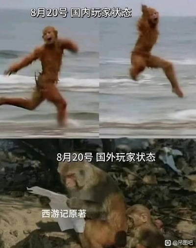 这张梗图通过上下对比的形式，展现了《黑神话：悟空》8月20日发售当天国内外玩家的不同状态：上方是86版《西游记》里孙悟空兴奋奔跑跳跃的截图，对应国内玩家因为熟悉西游文化，对游戏发售感到极度兴奋、迫不及待游玩的状态；下方是猴子专注看着纸张的截图，配文“西游记原著”，对应国外玩家为了理解游戏里的西游相关内容，紧急补阅《西游记》原著的状态，用幽默的方式体现了国内外玩家对西游文化的认知差异，以及《黑神话：悟空》的全球影响力。