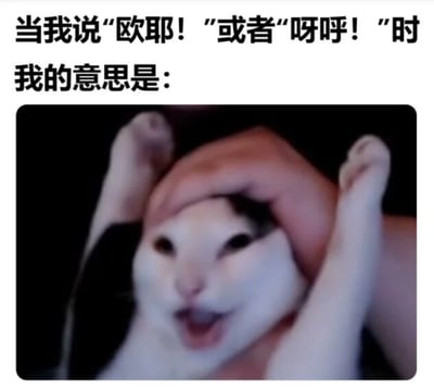 图片上方有黑色文字“当我说‘欧耶！’或者‘呀呼！’时我的意思是：”，下方是一张猫咪的照片。照片中一只白色猫咪被一只手托着头，嘴巴张开，眼睛睁大，表情看起来非常兴奋和开心，生动地表现出说“欧耶”或“呀呼”时的激动心情。