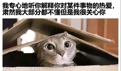 这是一张图文混排的暖心表情包，上方配文为“我专心地听你解释你对某件事物的热爱，虽然我大部分都不懂但是我很关心你”（原文中“肃然”为笔误，应为“虽然”），下方是一只真实的猫咪，它待在用硬纸板搭建的简易小空间里，探出头来，睁着圆溜溜的大眼睛，眼神既专注又带着懵懂感，和文字内容高度契合，精准传递出那种即便听不懂对方所讲的内容，依然愿意认真倾听、在意对方情绪的温柔陪伴感，非常适合在社交聊天中用来表达对他人的在意与倾听的态度。