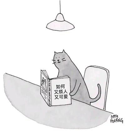 暂无描述