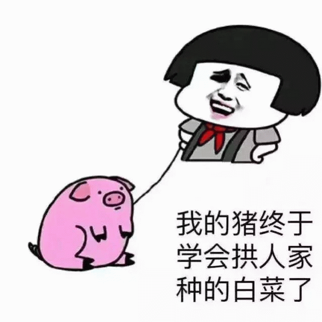 我的猪终于学会拱人家种的白菜了