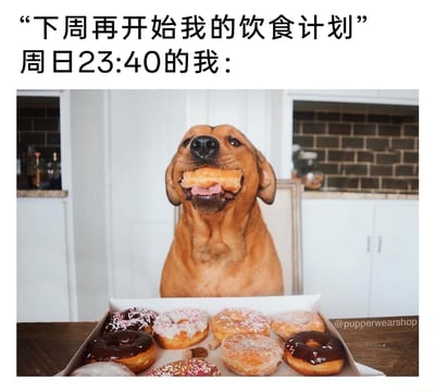 这是一张极具共鸣的搞笑梗图，上方配文“‘下周再开始我的饮食计划’周日23:40的我：”，下方画面中一只棕色狗狗端坐在桌前，嘴里叼着一个甜甜圈，面前摆着满满一盒有巧克力淋酱、糖霜装饰等多种样式的甜甜圈，狗狗的表情看起来既满足又带着点“理直气壮”的狡黠，精准戳中了很多人明明立下严格的饮食控制计划，却在周末临近结束的深夜，忍不住打破计划放纵自己吃甜食的真实心态，用拟人化的狗狗形象生动还原了这种“拖延执行计划、自控力不足”的日常。