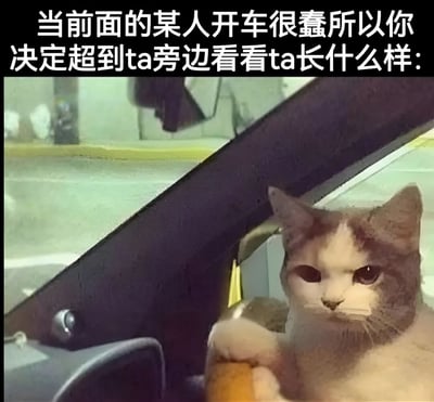 图片上方配有文字‘当前面的某人开车很蠢所以你决定超到ta旁边看看ta长什么样：’，下方是一只猫坐在汽车驾驶座上的画面，猫的表情看起来较为严肃，前爪似乎握着方向盘，营造出一种‘开车很蠢的司机原来是只猫’的幽默反差效果。