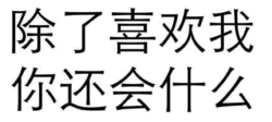 除了喜欢我你还会什么