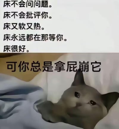 这是一张搞笑图文梗图，上方用一段温情文字将床描述成完美的避风港：「床不会问问题。床不会批评你。床又软又热。床永远都在那等你。床很好。」随后笔锋一转，用「可你总是拿屁崩它」的接地气文案制造强烈反差；下方搭配一只表情忧郁、躺在床上的3D风格猫咪，用丧系的表情配合扎心又搞笑的反转文案，放大了日常小糗事的滑稽感，让人忍俊不禁。