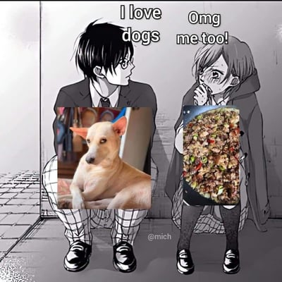 这是一张反差类拼贴梗图，画面左侧的动漫男生配文“I love dogs”，并展示了一只宠物狗的照片；右侧的动漫女生激动回应“Omg me too!”，但她展示的却是一锅炒制的狗肉料理。两者对“爱狗”的完全不同理解形成了强烈的荒诞反差，制造出搞笑效果。