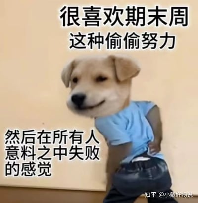 这张梗图把狗头P在了一个穿蓝色T恤小孩身上，表情讽刺搞笑。配上大号中文文案，吐槽学生在期末周“偷偷努力但最后还是失败”的自黑现实。整体风格充满无奈和自嘲，但又不乏幽默感，是非常典型的人间真实搞笑梗图。

双关：文案有自嘲意味，把“努力”和结果“失败”反差处理，展现无奈心理。