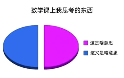 这是一张搞笑 meme 图，标题为“数学课上我思考的东西”。图中是一个被平均分成两半的饼图，左侧为蓝色区块，右侧为粉色区块。饼图右侧有两个对应颜色的标签，分别写着“这是啥意思”（粉色）和“这又啥意思”（蓝色）。通过饼图幽默地表现出学生在数学课上完全听不懂，所有思考内容都是对知识点的困惑，没有任何有效信息，生动展现了课堂走神时的真实状态。