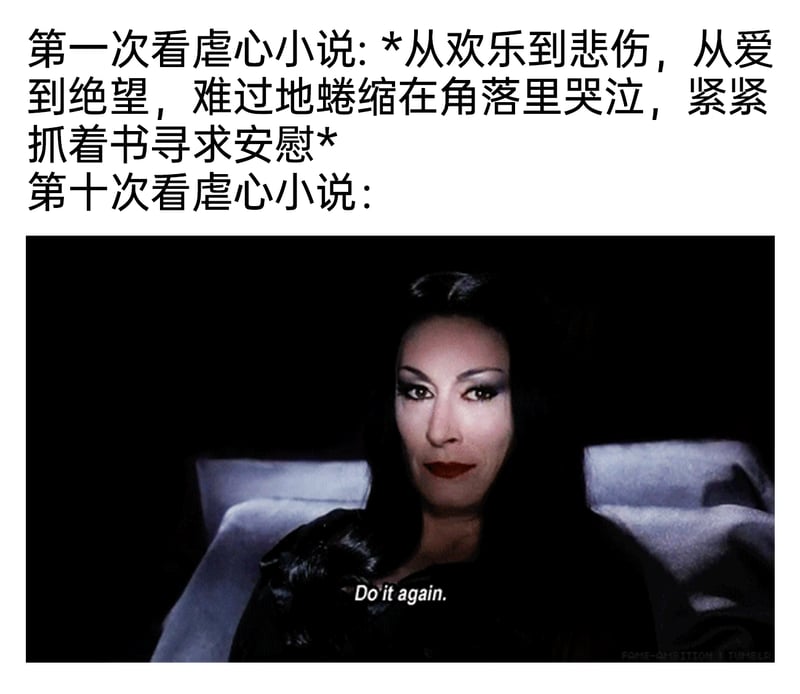《亚当斯一家》
