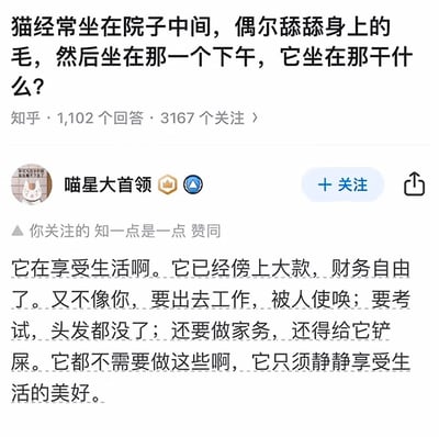 图片为知乎平台的一个问答截图，展示了一个关于猫咪行为的提问及高赞回答。提问内容为“猫经常坐在院子中间，偶尔舔舔身上的毛，然后坐在那一个下午，它坐在那干什么？”，下方显示该问题有1,102个回答和3,167个关注。答主“喵星大首领”以幽默调侃的语气回复，称猫咪是在享受生活，因为它已“傍上大款实现财务自由”，无需像人类一样工作、考试、做家务，引发对生活状态的轻松对比。