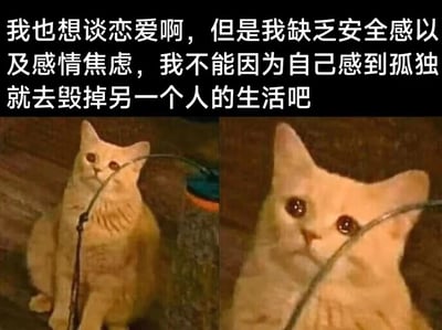 图片上方为白色文字，内容是“我也想谈恋爱啊，但是我缺乏安全感以及感情焦虑，我不能因为自己感到孤独就去毁掉另一个人的生活吧”，表达了渴望恋爱却因自身心理因素不敢行动的矛盾心情。下方是左右两张黄色猫咪的照片，左侧猫咪抬头望向钓鱼竿，右侧为猫咪脸部特写，眼睛圆大，显得无辜又渴望，整体通过图文结合展现了内心的情感挣扎。