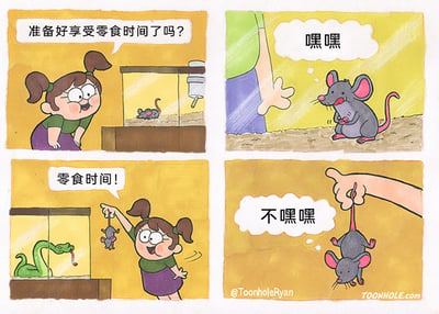 暂无描述