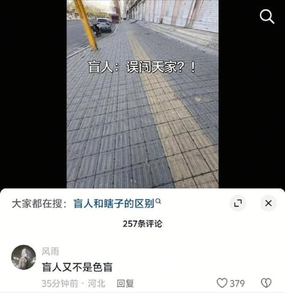 这张图分为上下两部分，上半部分是城市人行道的实拍画面：灰色普通通行地砖和黄色盲道地砖的凹凸触感纹理完全一致，仅存在颜色差异，完全无法供视障人士通过触感识别，图上叠加配文“盲人：误闯天家？！”，调侃这条盲道完全没有实用功能；下半部分是国内社交平台的评论区截图，顶部显示大家都在搜的词条为“盲人和瞎子的区别”，靠前的一条评论由用户“风雨”发布于河北，内容为“盲人又不是色盲”，获379个赞，该评论直接点明了这条盲道设计的荒谬之处：盲道的服务对象是无法看见事物的视障人士，仅靠颜色区分的盲道对他们而言毫无作用，用调侃的方式讽刺了脱离实际需求的不合理公共设施设计。
