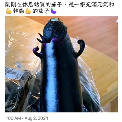 图片展示了一根在休息站购买的茄子，其独特的形状让人联想到充满活力的形象：顶部的茄蒂如同头部，两侧自然生长的小突起宛如举起的手臂，整体呈现出一种“元气满满”的姿态。图片上方配有文字“刚刚在休息站買的茄子，是一根充满元氣和👍幹勁👍的茄子🍆”，用轻松幽默的语言描述了这根造型有趣的茄子。