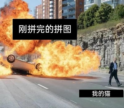 这是一张用来调侃猫咪调皮的搞笑梗图。画面呈现的是道路上一辆汽车翻倒后发生剧烈爆炸，火焰裹挟着浓烟冲天而起，上方的黑色标注框写着“刚拼完的拼图”，以此来比喻主人刚完成就被破坏的拼图；画面右下角，一名穿着西装的男子面无表情、淡定从容地从爆炸现场旁走开，下方的黑色标注框写着“我的猫”，将搞破坏的猫咪拟人化，表现出猫咪在搞破坏后毫不在意、淡定离开的状态，用强烈的反差感生动展现出养猫人面对猫咪破坏自己成果时无奈又好笑的心情。