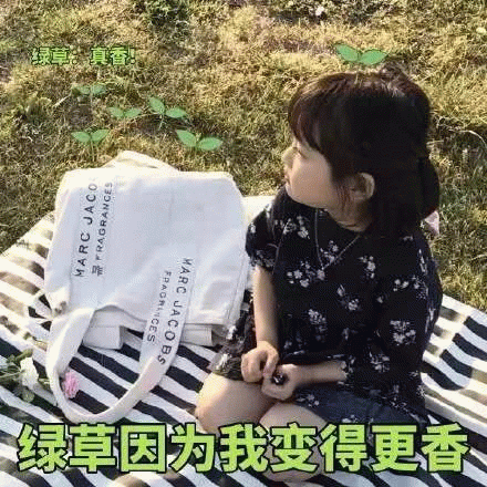 权律二草坪萌照：绿草因为我变得更香