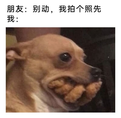 这是一张搞笑图文表情包，上方配文模拟日常场景对话：朋友说“别动，我拍个照先”，下方配图是一只嘴巴被类似炸鸡块的食物塞得满满当当的狗狗，它的脸颊被撑得严重变形，却依旧保持严肃的表情一动不动，生动又滑稽地还原了很多人在朋友拍照时，明明嘴里塞满食物却硬撑着不动配合的真实日常，用宠物的搞怪模样放大了这种场景的搞笑感，很容易引发共鸣。