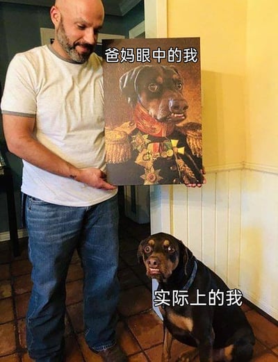 这是一张趣味反差梗图，画面上方是一名男子双手捧着一幅定制画像，画像里的杜宾犬被修改为身着挂满勋章的华丽军装的将领形象，配文“爸妈眼中的我”，象征着父母眼中孩子是优秀、威风、值得骄傲的存在；画面下方是真实的杜宾犬，它眼睛圆睁、表情搞怪滑稽，配文“实际上的我”，对应现实中自己可能普通、带点小滑稽的真实状态。整图通过宠物的形象反差，幽默地调侃了父母对孩子的滤镜式认知与真实自我之间的差距，充满搞笑感和共鸣感。