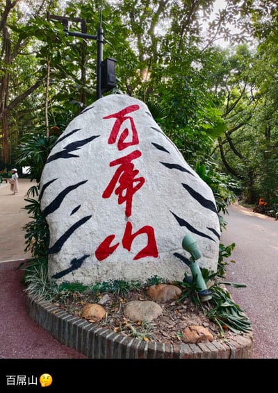 这是一张拍摄于广州长隆野生动物世界百虎山区域的实拍图，主体是一块被涂装成白虎纹路的景观石，石身用醒目红色字体写着“百虎山”。图片底部被添加了“百屛山🤔”的文字标注，玩起谐音梗，将“虎”字错看成“屛（屏）”字，制造出趣味反差感。背景是郁郁葱葱的园区绿植与步道，还有一位行人在步道上，整体场景充满自然休闲的氛围，同时因谐音梗增添了搞笑趣味。