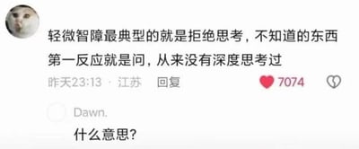 这是一张社交媒体评论截图，展示了一个具有讽刺意味的对话场景。一位用户发表评论称："轻微智障最典型的就是拒绝思考，不知道的东西第一反应就是问，从来没有深度思考过"，而随后另一位名为"Dawn."的用户直接回复"什么意思?"，完美地演示了前者所描述的行为，形成了有趣的自我指涉和讽刺效果。