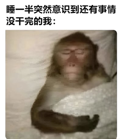 图片上方有文字'睡一半突然意识到还有事情没干完的我:'，下方是一只躺在床上的猴子，它闭着眼睛，表情看起来像是突然惊醒，脸上带着惊讶和慌张的神情，被子盖在身上。这张图通过猴子的反应幽默地表现了人们在半梦半醒间突然想起还有未完成任务时的慌张状态，非常贴近生活，容易引起共鸣。