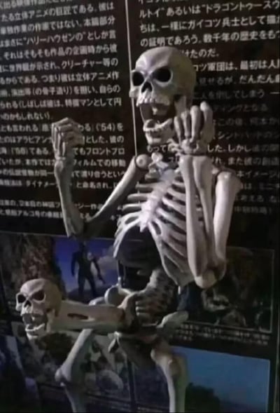 图片主体为一个塑料骷髅摆件，呈现出双手抬起靠近面部的姿势，表情夸张。骷髅后方是布满日文文字的背景板，内容似乎为某种说明性文字。在主骷髅下方偏左位置，还有一个较小的骷髅头摆件。整体画面给人一种幽默、趣味的感觉，可能是有人特意将骷髅摆成夸张姿势拍摄的照片。