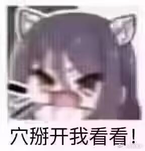 图片展示了一个动漫风格的猫耳娘角色，她有着猫耳朵和猫胡须，表情愤怒，眼睛眯成一条缝，脸颊泛红。图片底部有文字'穴掰开我看看!'。