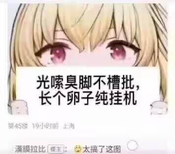 这是一张竖屏手机格式的社交媒体截图，主体是一位金发粉眼的二次元动漫女孩静态头像，头像上方被白色背景的低俗吐槽文字“光嗦臭脚不槽批，长个卵子纯挂机”覆盖。截图下方是论坛评论区内容，显示为第45楼，发布于19小时前的上海，楼主“瀑鳗拉比”评论“太搞了这图”。图中文字使用了谐音梗，“槽批”谐音脏话“操批”，“卵子”为低俗用语，整体用来调侃划水、不作为、毫无用处的人，风格戏谑搞笑。