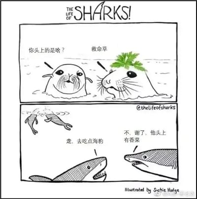 这是一幅名为《THE LIFE OF SHARKS!》的连环卡通漫画，分为上下两个画面。上半部分是两只在水中的海豹，左侧海豹面露疑惑地询问右侧海豹“你头上的是啥？”，右侧海豹头顶一片类似香菜的绿色植物，淡定地回答“救命草”。下半部分是两只鲨鱼，左侧鲨鱼兴奋地提议“走，去吃点海豹”，右侧鲨鱼则面露嫌弃地拒绝道“不，谢了，他头上有香菜”。漫画将人类中部分人讨厌香菜的喜好拟人化到鲨鱼身上，通过这种荒诞的设定制造出幽默效果，让原本会被鲨鱼捕食的海豹，因为头顶香菜而躲过一劫，笑点十足。