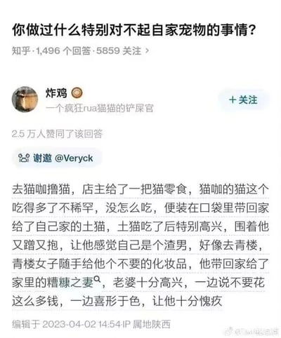 这是一张知乎平台的社交媒体截图，展示了一个关于“对不起自家宠物的事”的热门问答。顶部的问题为“你做过什么特别对不起自家宠物的事情？”，该问题拥有1496个回答和5859位关注者。用户“炸鸡”（简介为“一个疯狂rua猫猫的铲屎官”）的回答获得了2.5万人赞同，回答内容讲述了答主把猫咖里猫不爱吃的剩余零食带回家给自家土猫，土猫却因为得到零食而十分开心，围着答主又蹭又抱，答主因此产生了强烈的愧疚感，并以“将青楼女子丢弃的化妆品带回家给糟糠之妻，妻子却误以为是珍贵礼物而十分高兴”的场景来比喻自己的心情，用幽默又扎心的方式生动地表达了对自家宠物的愧疚。回答编辑于2023年4月2日14点54分，IP属地为陕西。