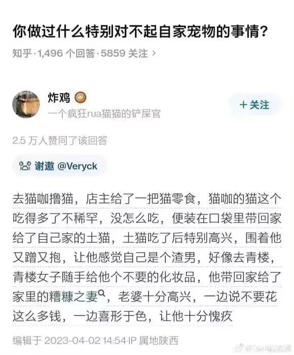 铲屎官