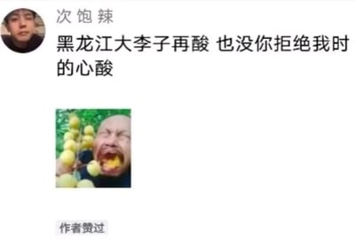 这是一张社交媒体动态截图，发布者昵称是“次饱辣”，发布的文案为“黑龙江大李子再酸 也没你拒绝我时的心酸”，通过把黑龙江大李子的生理酸味和被他人拒绝时的心理心酸进行类比，用夸张的方式抒发自己被拒绝后的失落与难过情绪。文案下方搭配了一张图片，图中人物张大嘴巴，面部表情扭曲，嘴里和手中都拿着黄色的李子，直观地展现出被李子酸到的难受模样，既呼应了文案里李子的酸，也侧面烘托出被拒绝的心酸程度之深。动态下方还有“作者赞过”的标识，表明发布者自己也认可这条动态的内容。